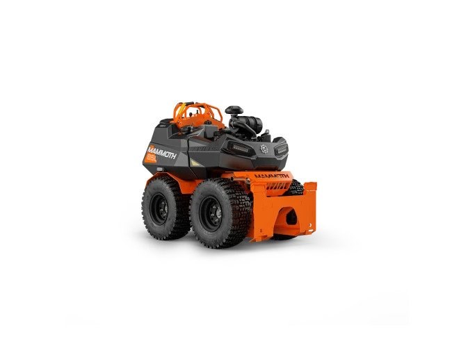 ARIENS MAMMOTH STAND-ON