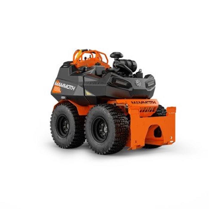 ARIENS MAMMOTH STAND-ON