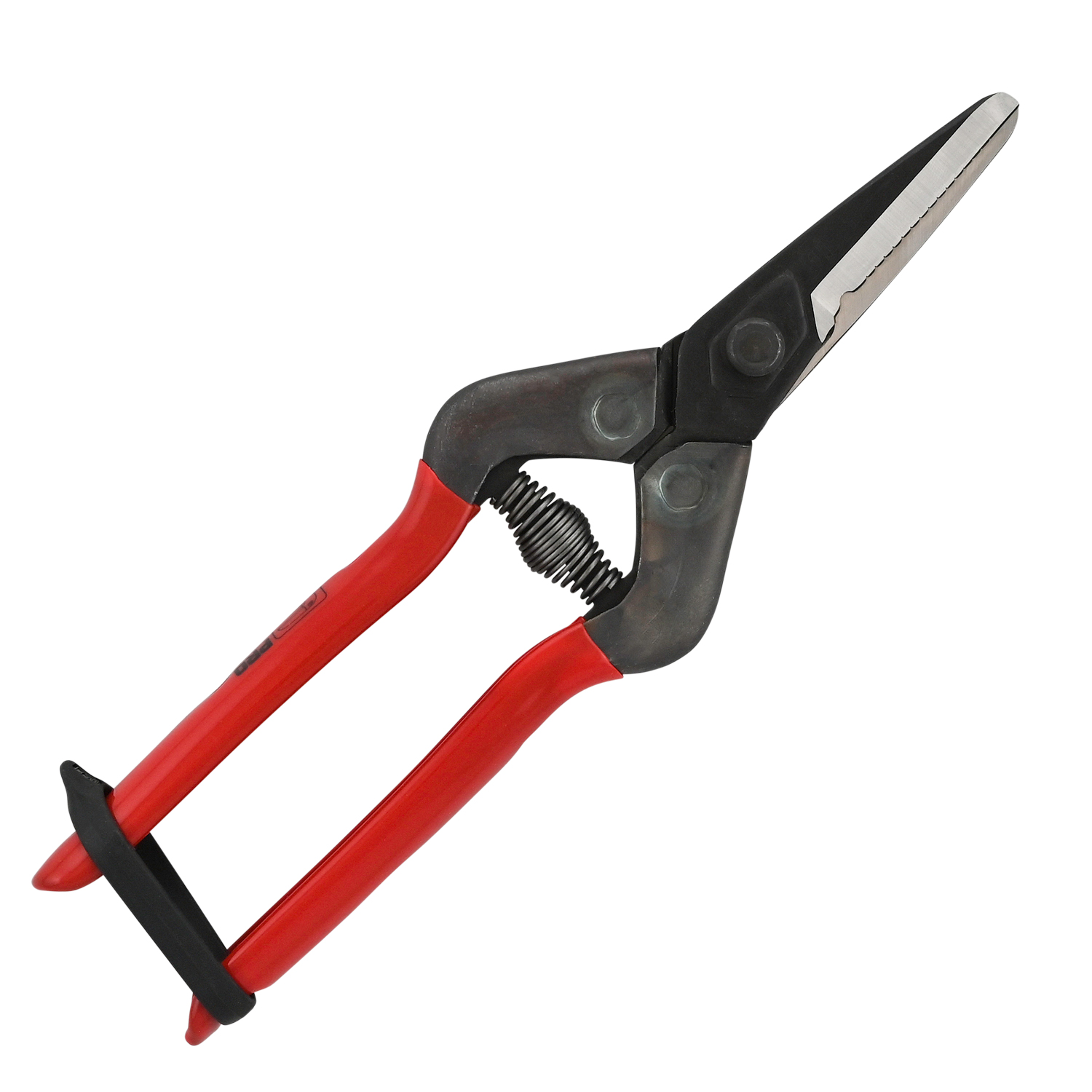 SILKY Chikamasa Blomstersaks kraftig